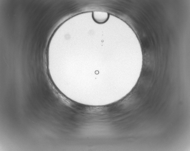 X0000052991150200508051101