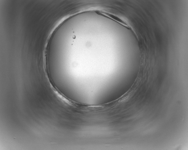 X0000052991151200508051101