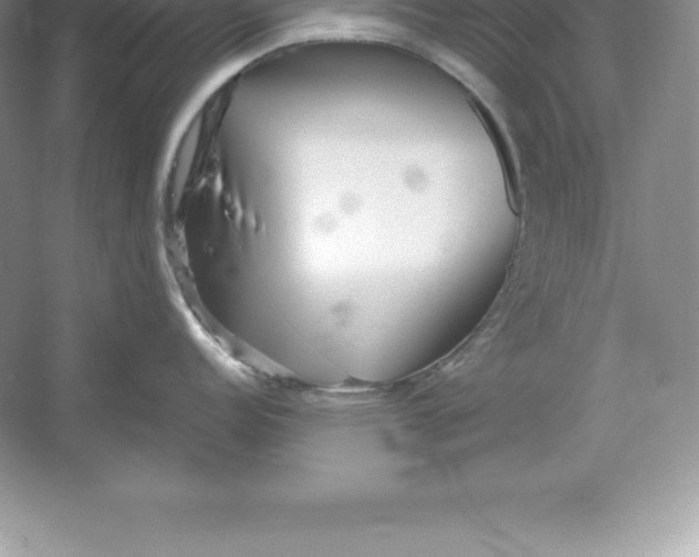 X0000052991152200508051101