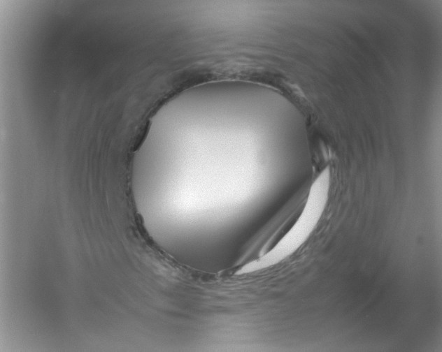 X0000052991153200508051100