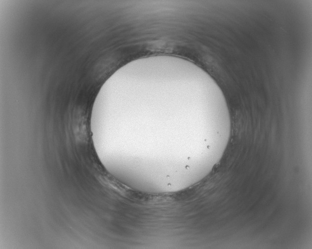 X0000052991154200508051100