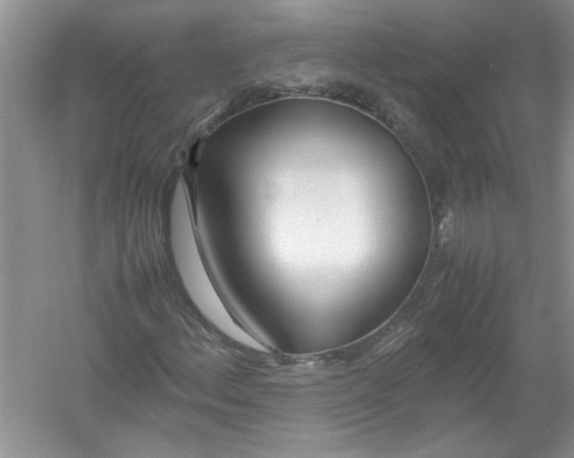 X0000052991156200508051100