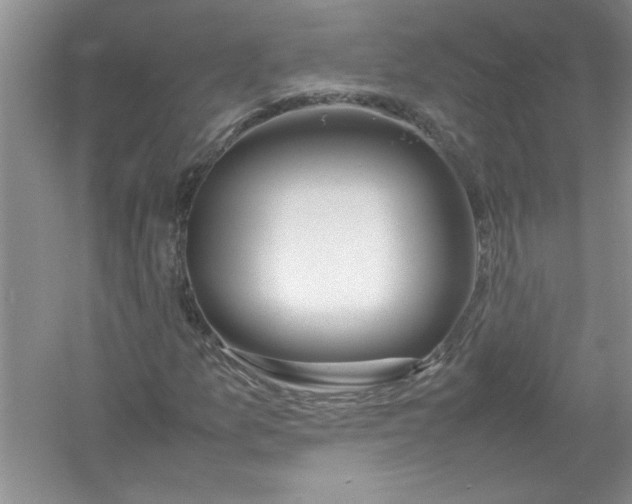 X0000052991157200508051100