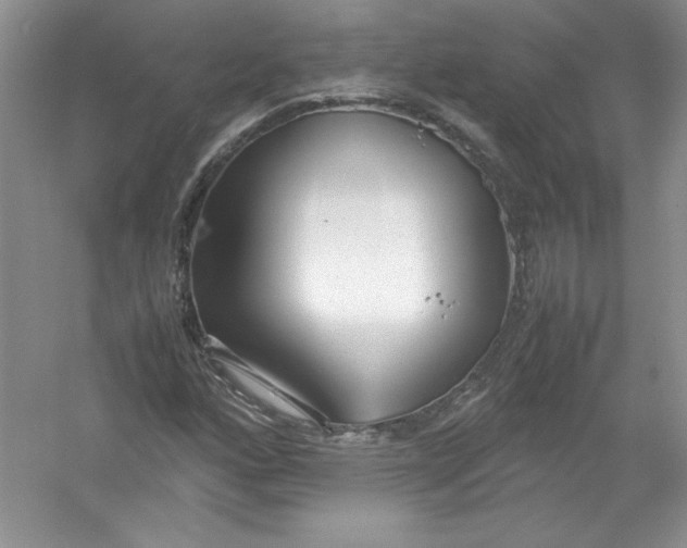 X0000052991160200508051100