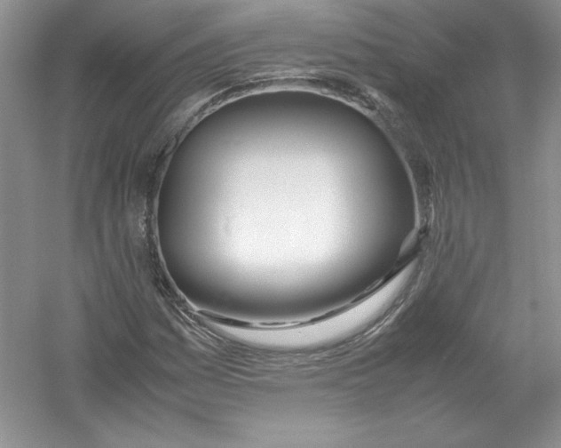 X0000052991161200508051100