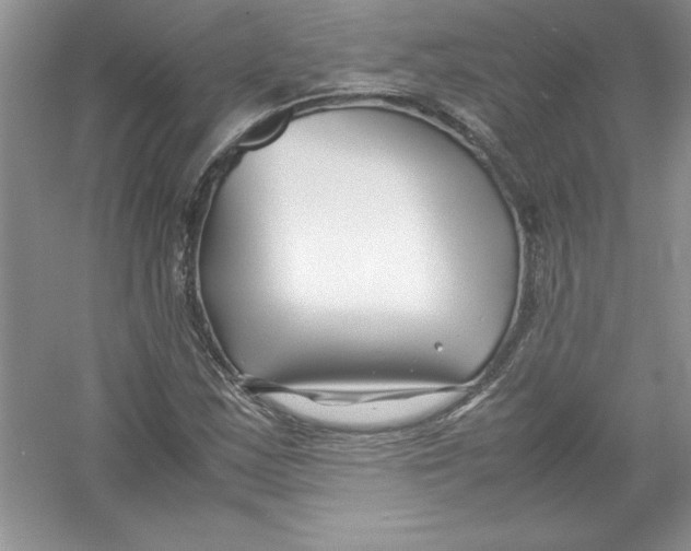 X0000052991163200508051100