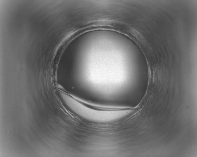 X0000052991164200508051100