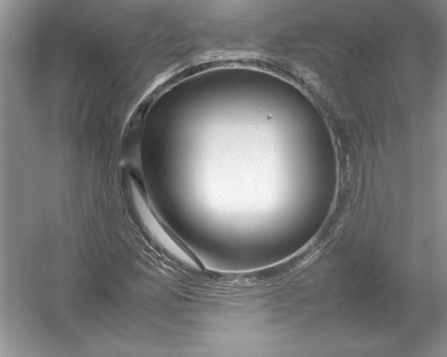 X0000052991165200508051100