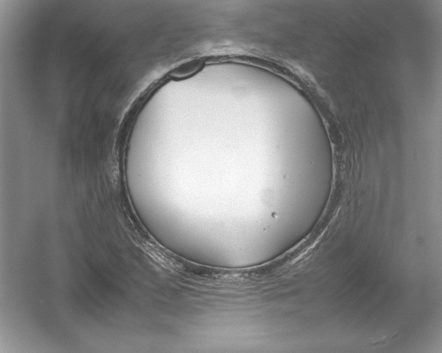 X0000052991167200508051100