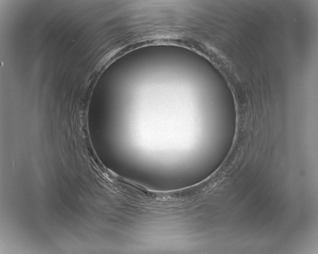 X0000052991169200508051100