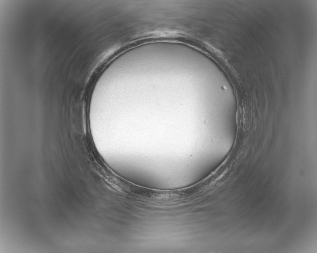 X0000052991171200508051100