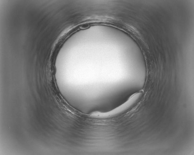 X0000052991172200508051100