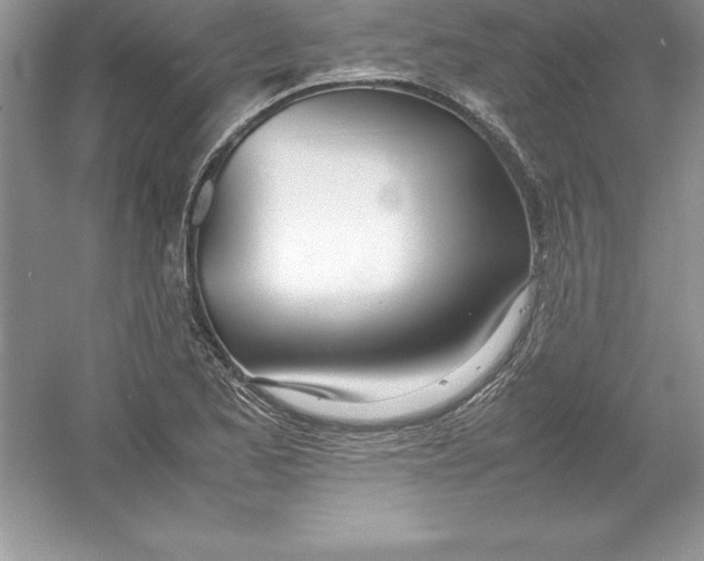 X0000052991173200508051100