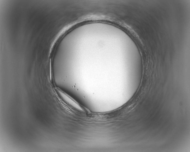 X0000052991175200508051100