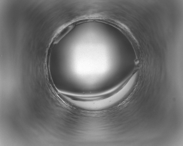 X0000052991176200508051100