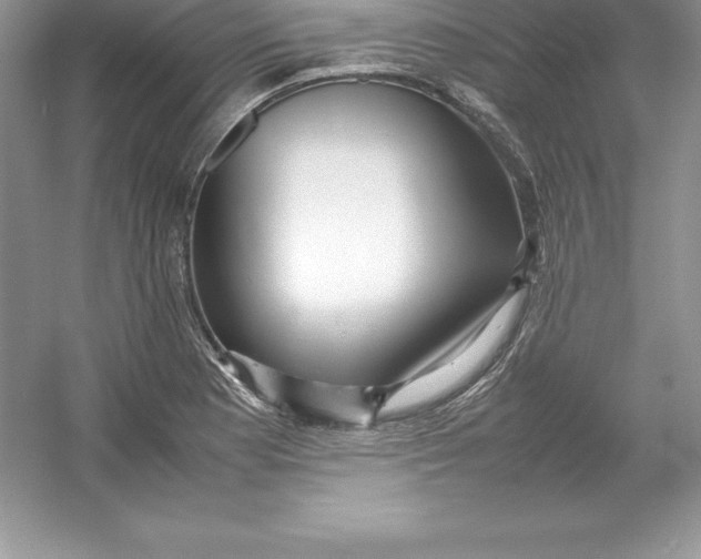 X0000052991177200508051100