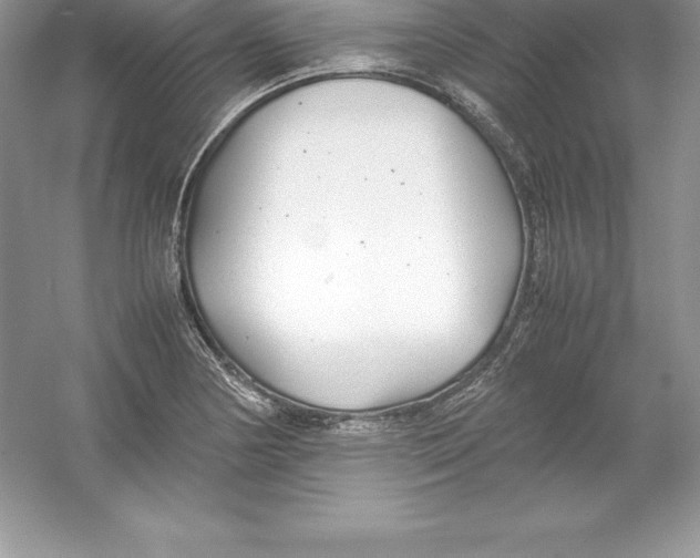 X0000052991178200508051100