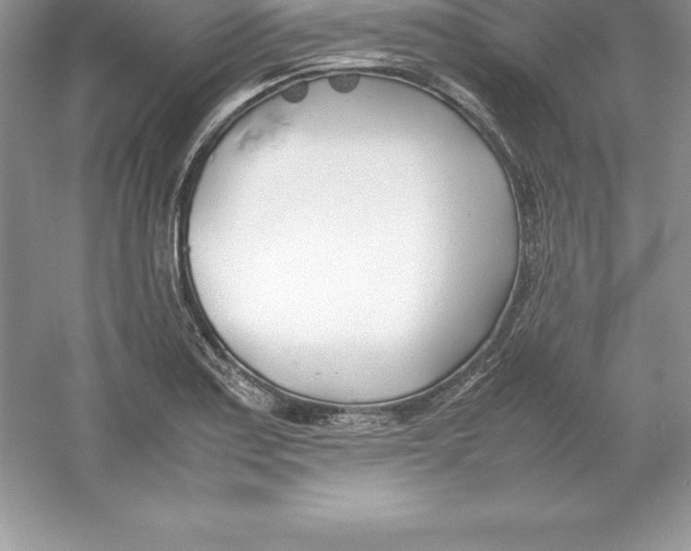 X0000052991179200508051100