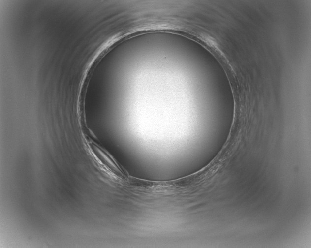 X0000052991181200508051100