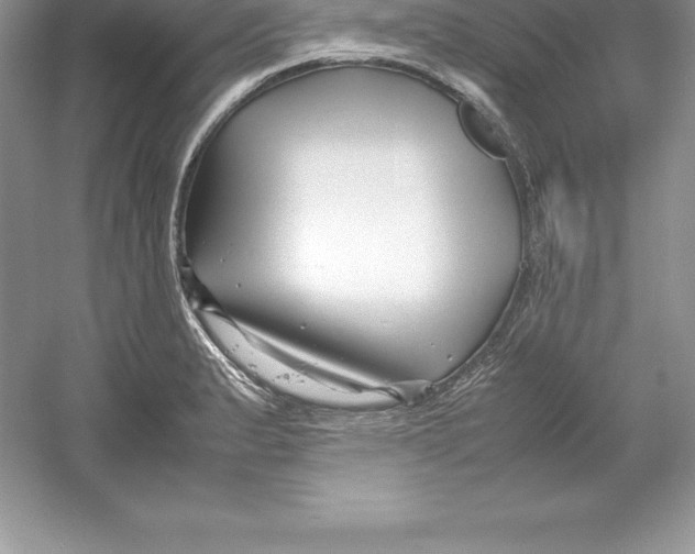 X0000052991183200508051100