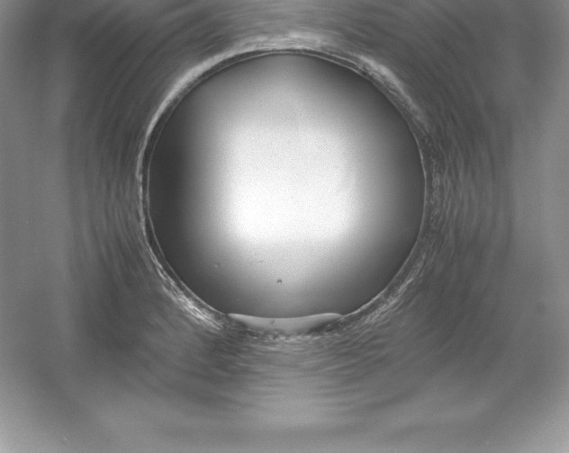 X0000052991184200508051100