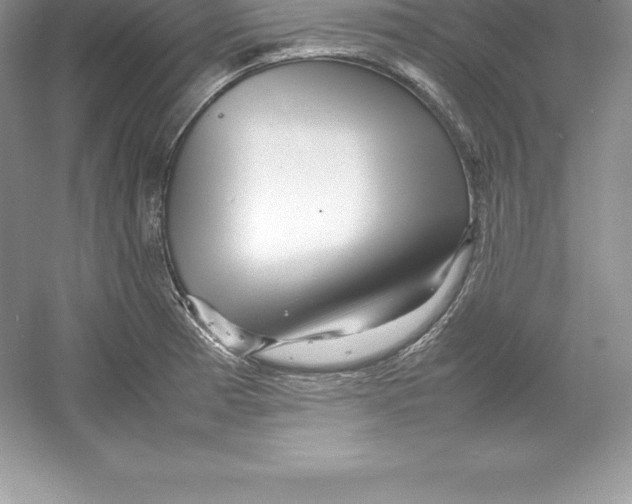 X0000052991185200508051100