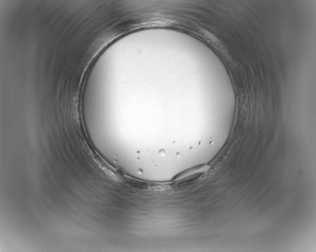 X0000052991186200508051100