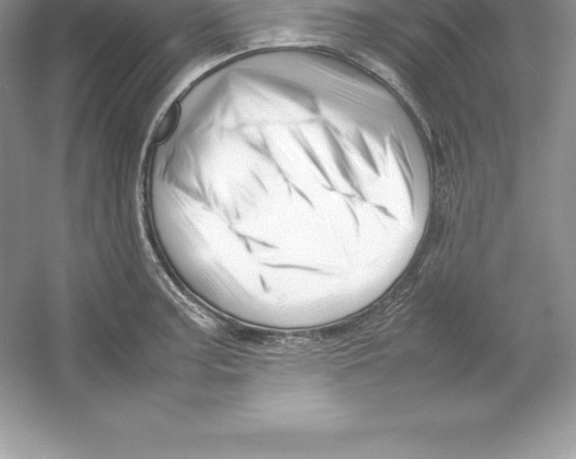 X0000052991187200508051100