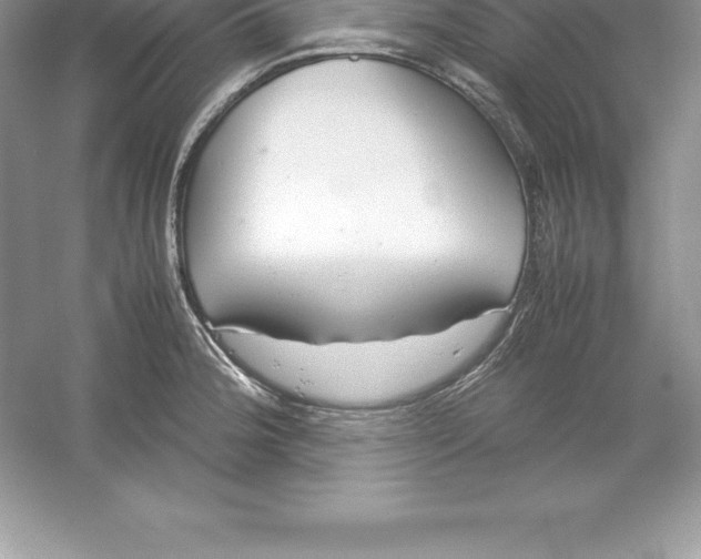 X0000052991188200508051100