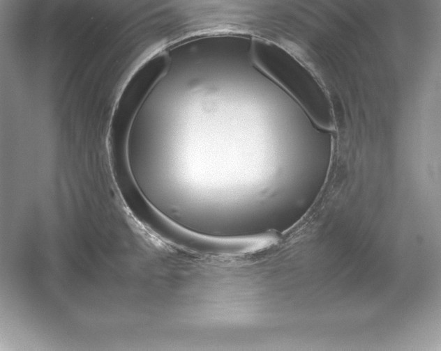 X0000052991189200508051100