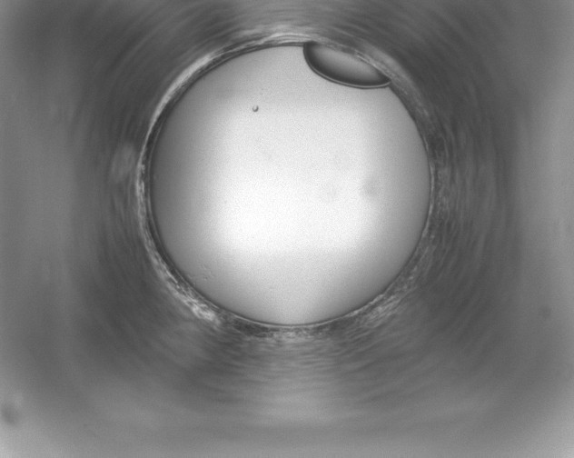 X0000052991190200508051100