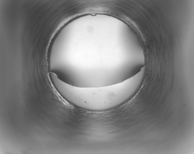 X0000052991192200508051059