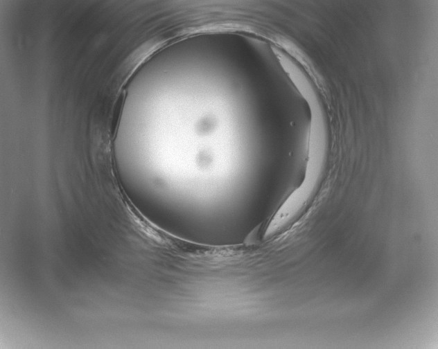 X0000052991193200508051059