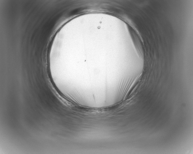 X0000052991195200508051059