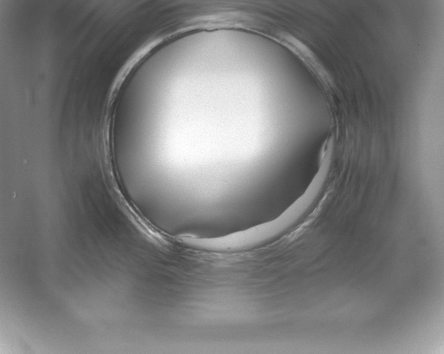 X0000052991196200508051059