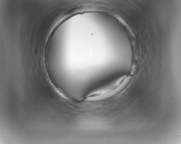 X0000052991197200508051059