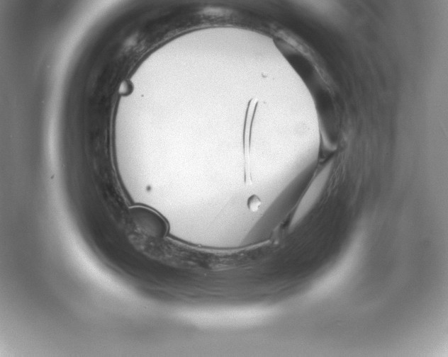 X0000052991199200508051059