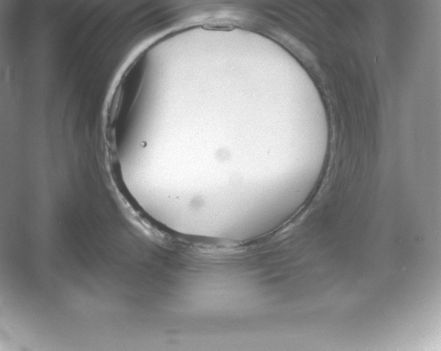 X0000052991200200508051059