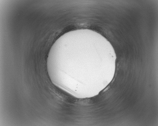 X0000052991201200508051059