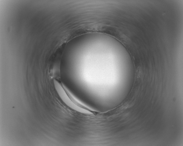 X0000052991202200508051059