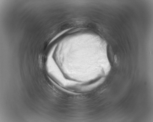 X0000052991203200508051059