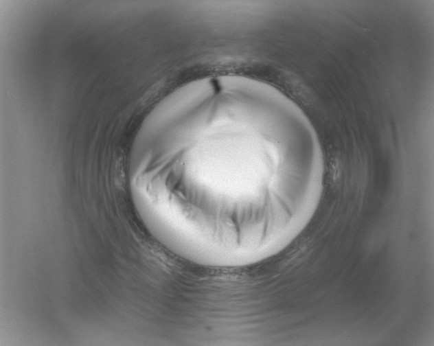 X0000052991204200508051059