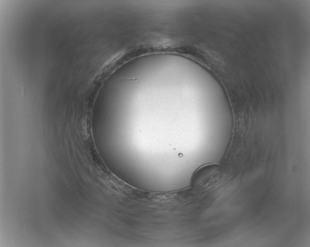 X0000052991205200508051059