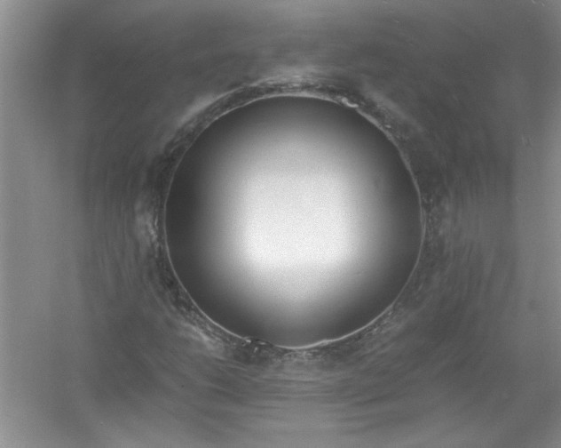 X0000052991206200508051059