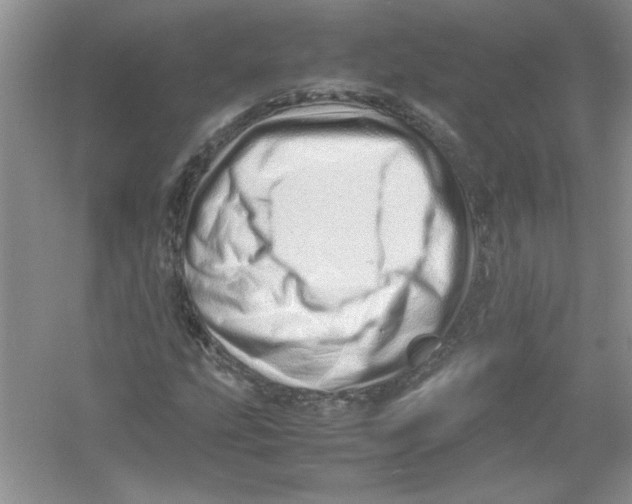 X0000052991207200508051059