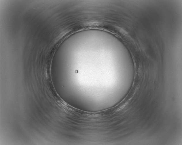 X0000052991209200508051059