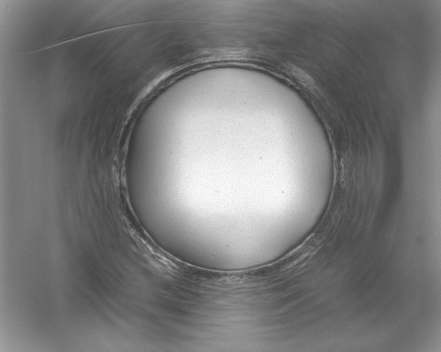 X0000052991212200508051059