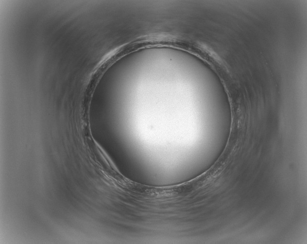 X0000052991213200508051059