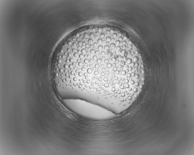 X0000052991216200508051059