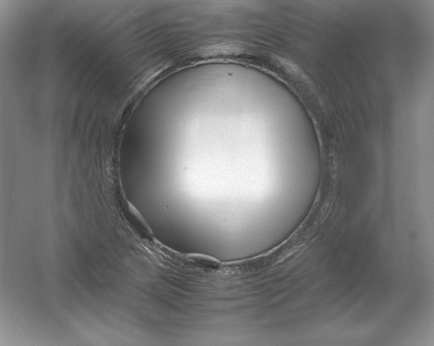 X0000052991217200508051059